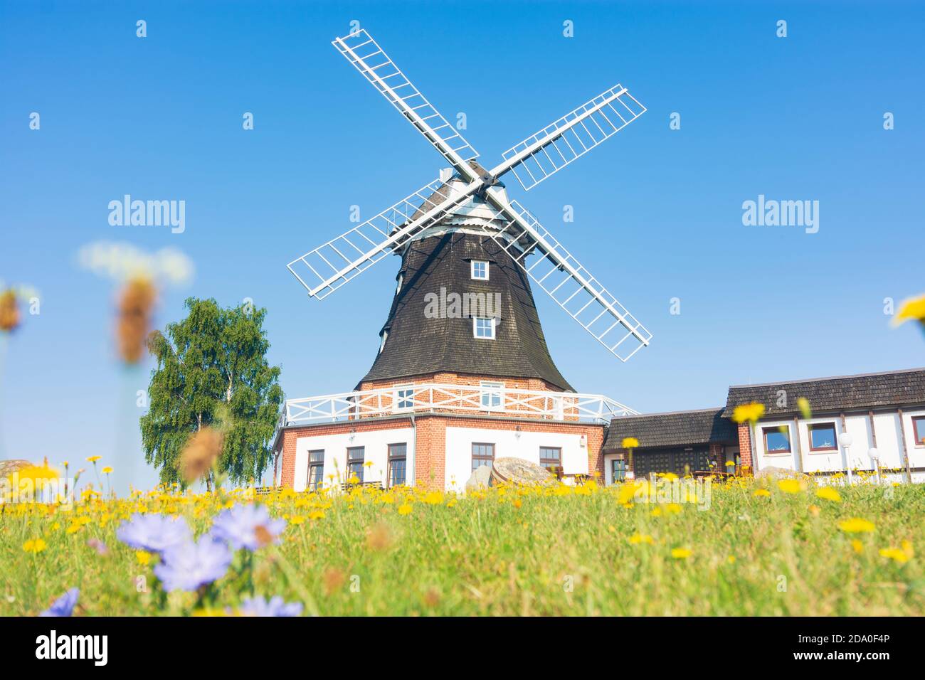 Klütz: Windmühle in Klütz, Ostsee, Mecklenburg-Vorpommern, Deutschland Stockfoto