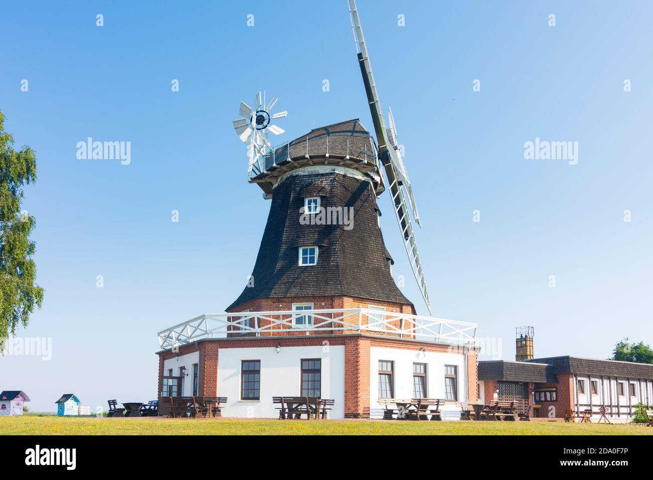 Klütz: Windmühle in Klütz, Ostsee, Mecklenburg-Vorpommern, Deutschland Stockfoto