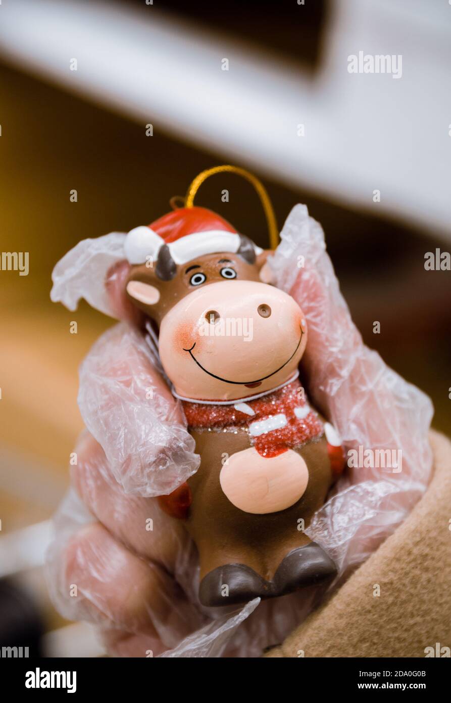 Christbaumspielzeug Bull Symbol des neuen Jahres 2021 in Frauenhand in Handschuhen. Chinesisches Neujahr 2021 Jahr der Bulle Selektiver Fokus. Stockfoto