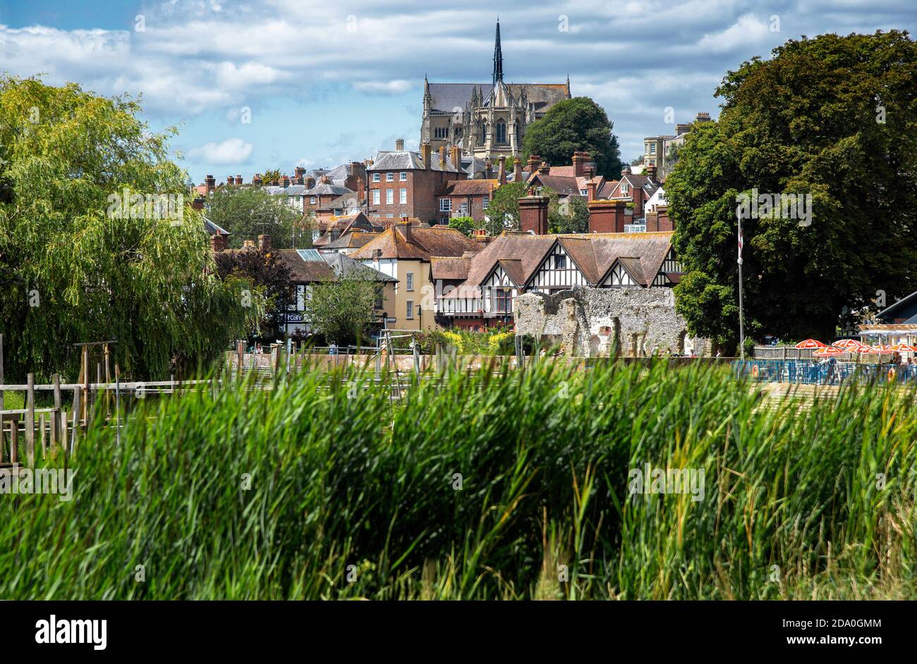 Die historische Marktstadt Arundel vom Arun Flussufer aus, die die Stadt und die gotische Arundel Kathedrale auf dem Hügel zeigt - West Sussex, England, Großbritannien Stockfoto