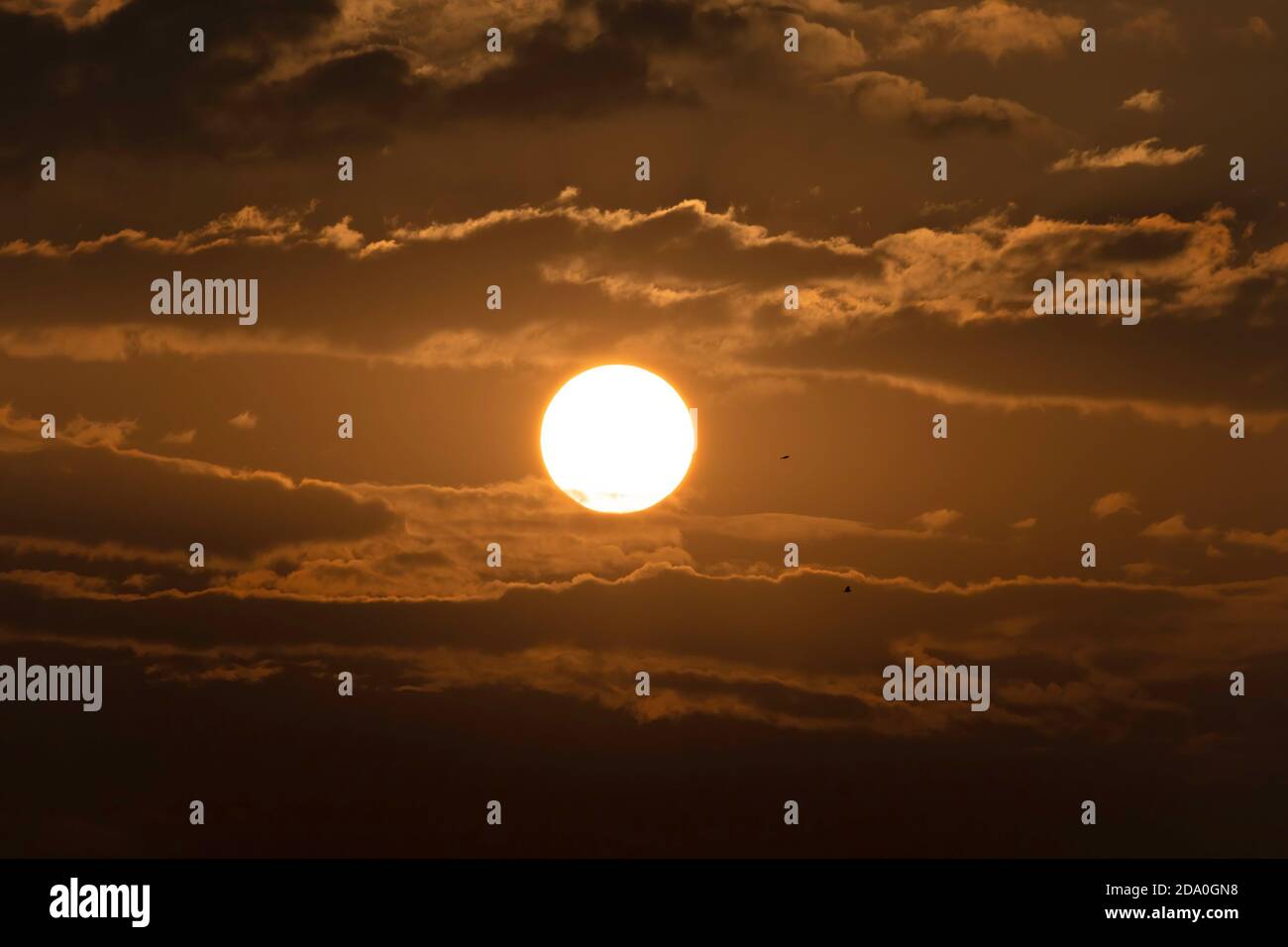 Sonnenaufgang über Al Ain Stadt in den VAE Stockfoto