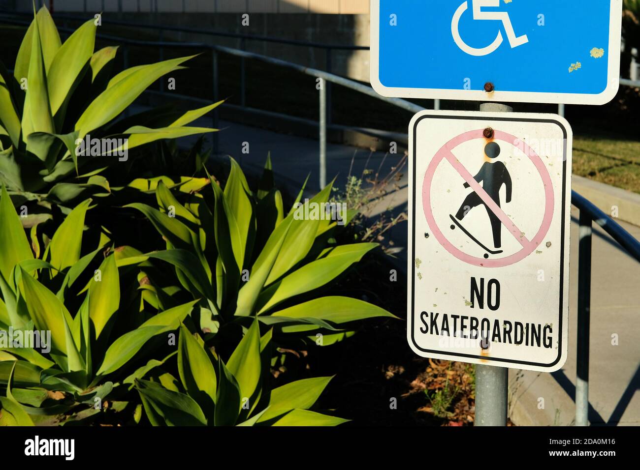 Alt und verblasst kein Skateboarding erlaubt Zeichen auf dem Campus des City College von San Francisco in Kalifornien. Stockfoto