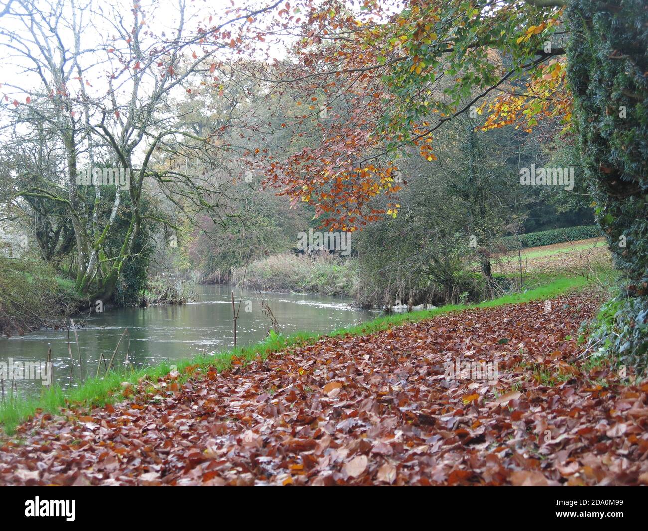 Herbstlicher Blick auf den Fluss Cherwell, goldene Bäume und knackige Blätter unter den Füßen auf dem Oxfordshire Anwesen von Rousham House; November 2020. Stockfoto