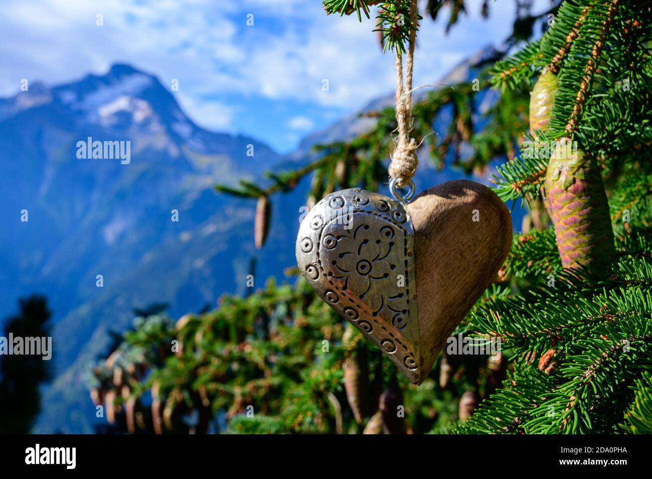 Grüner Weihnachtsbaum mit Zapfen, der in den französischen Alpen wächst  Dekoriert mit hängendem Holzherz und Berggipfeln im Hintergrund  Stockfotografie - Alamy