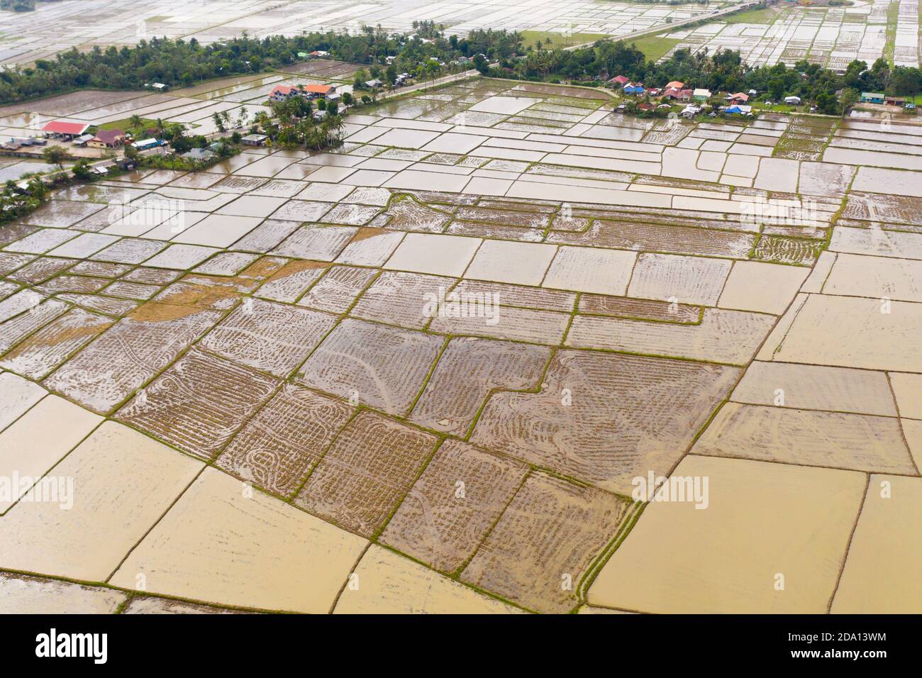 Philippinisches Dorf und Reisfelder mit Wasser überflutet. Landschaft mit Ackerland, Draufsicht. Reisfelder sind bereit für das Pflanzen von Reis. Stockfoto