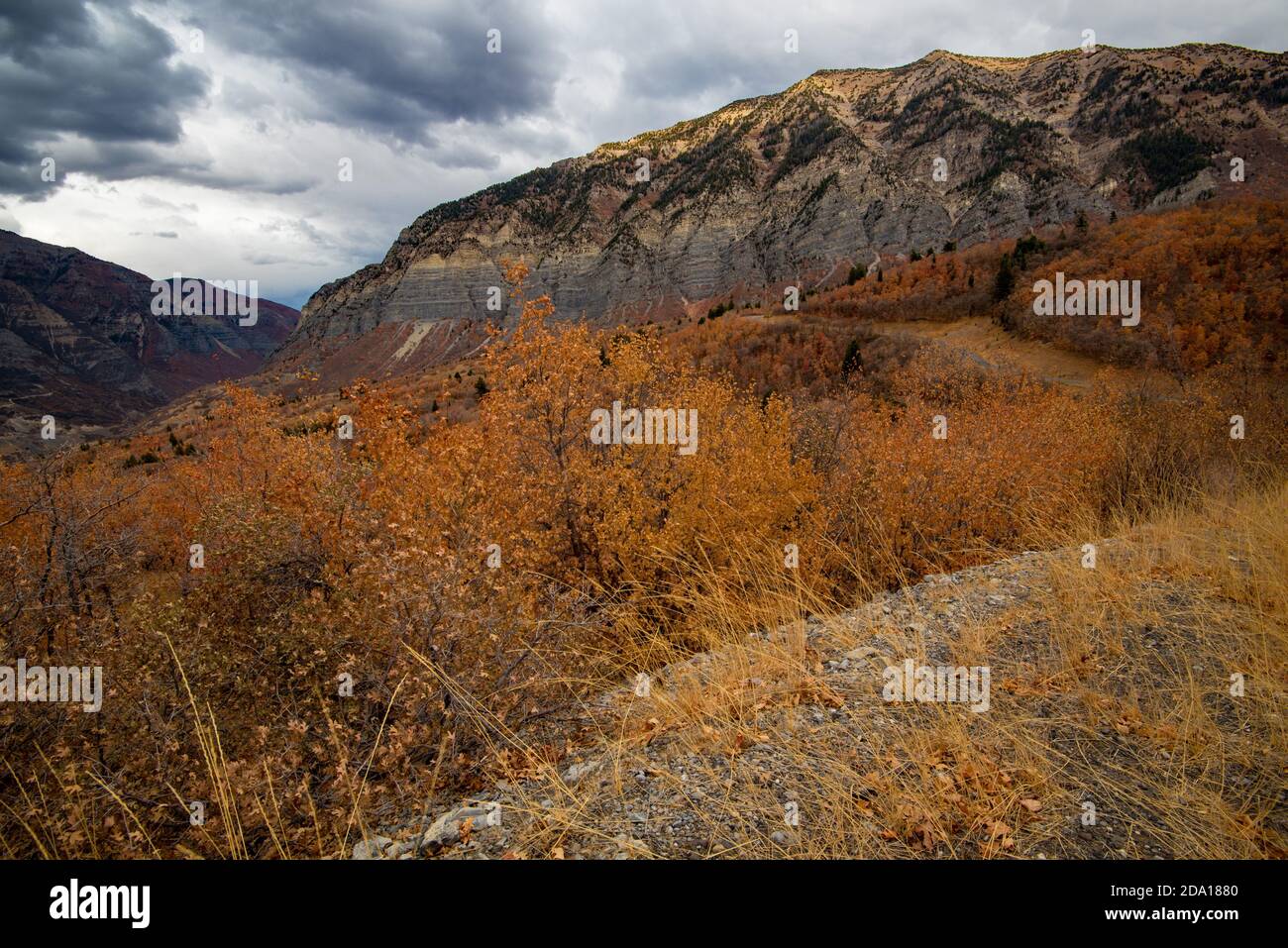 Die hohen Granitgipfel und Klippen im Norden Utahs, USA, sind im Herbst spektakulär. Die Bergstraße bietet endlose Panoramablicke auf die Bergkette. Stockfoto