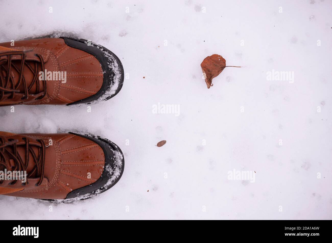 Rote Stiefel und trockenes Blatt auf dem Schnee Stockfoto