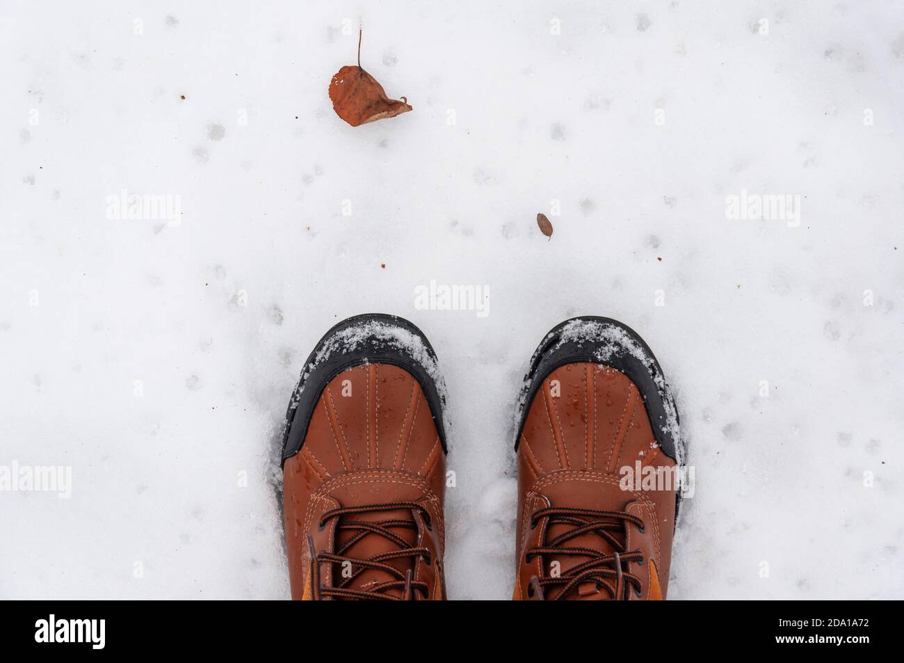 Rote Stiefel und trockenes Blatt auf dem Schnee Stockfoto