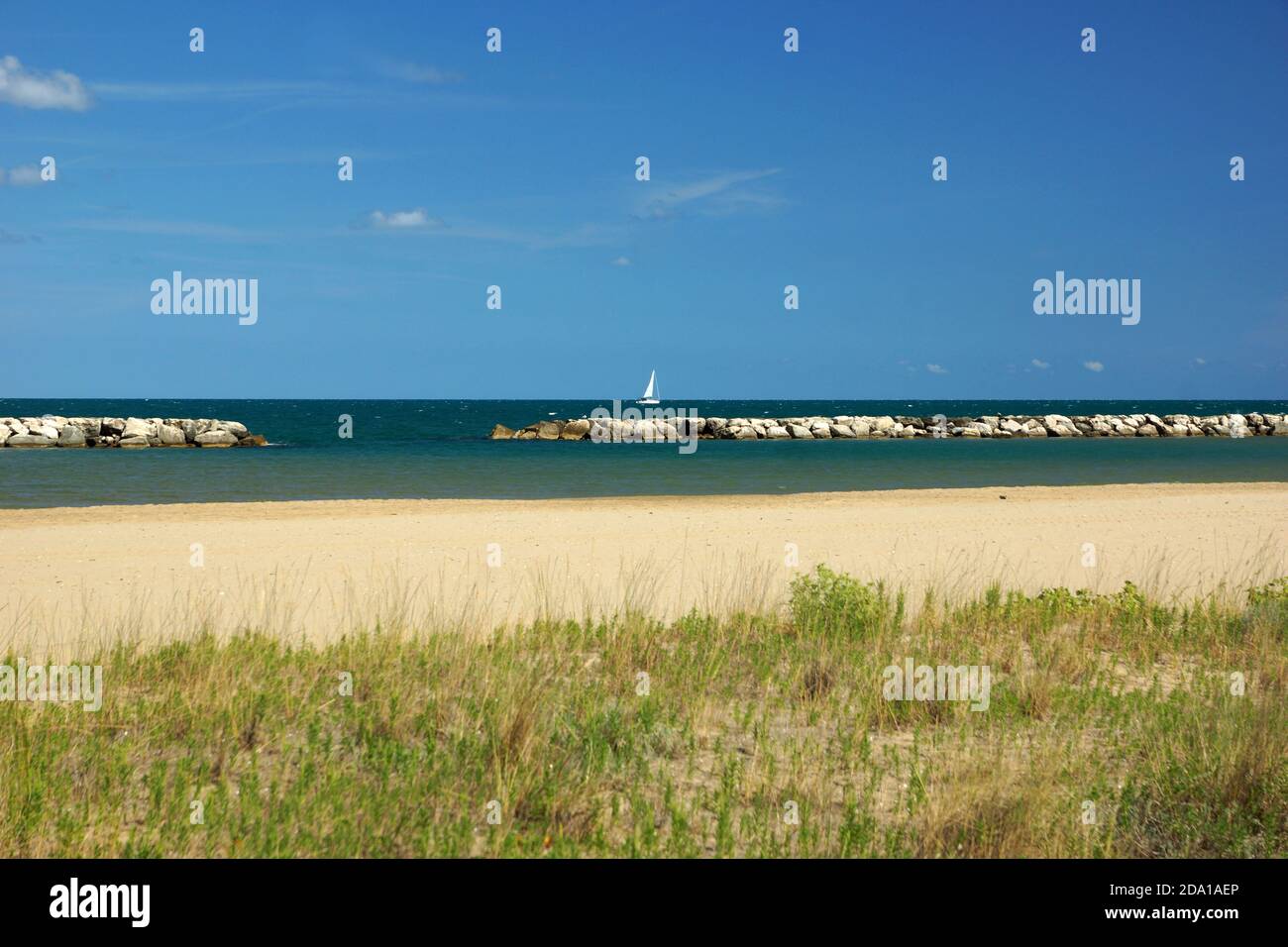 Wunderschöner wilder Strand an der Adria zwischen Pesaro und Fano. Europa, Italien, Marken, Pesaro. Stockfoto