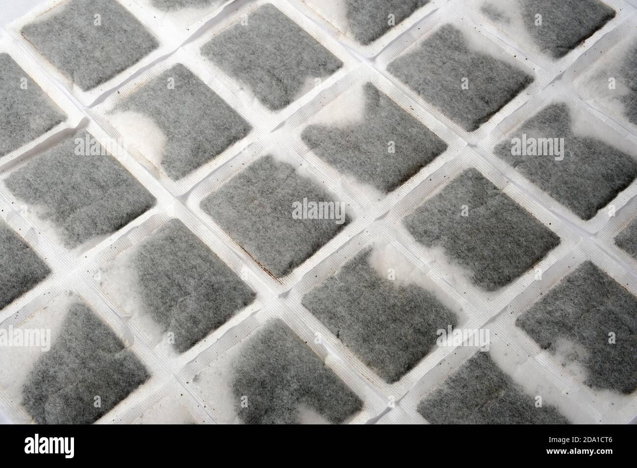 Englisches Teebeutel-Muster. Mehrere Teebeutel nebeneinander auf der flachen Oberfläche ausgerichtet. Stockfoto