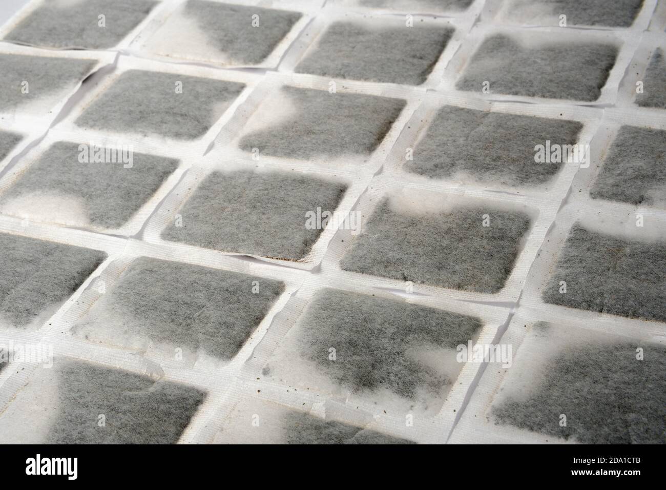 Englisches Teebeutel-Muster. Mehrere Teebeutel nebeneinander auf der flachen Oberfläche ausgerichtet. Stockfoto