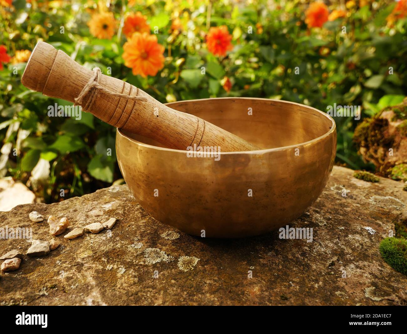 Singende Schüssel auf einem Felsen mit Dalhia Blumen in gesetzt Hintergrund Stockfoto