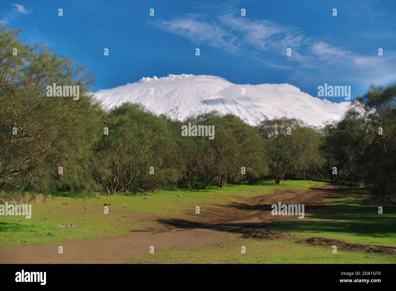 Unbefestigter Weg zum Ätna Berg, der unter weißen niedrigen Wolken schneebedeckt ist, von der typischen Vegetation des Ätna Park in Sizilien Stockfoto