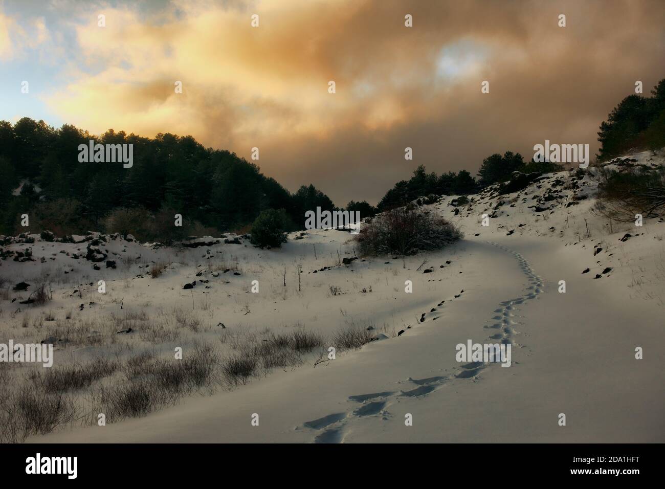 Menschliche Spuren auf dem tiefen Schnee des Ätna Park am Abend, Sizilien Stockfoto
