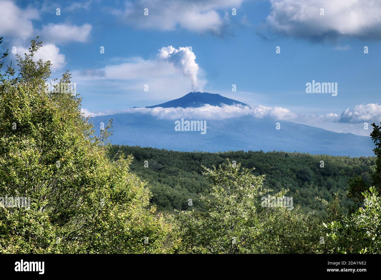 Eine Rauchsäule aus den Gipfelkrater des Vulkans Ätna, die sich über den Wäldern des Nebrodi-Parks und den niedrigen Wolken, Sizilien, erhebt Stockfoto