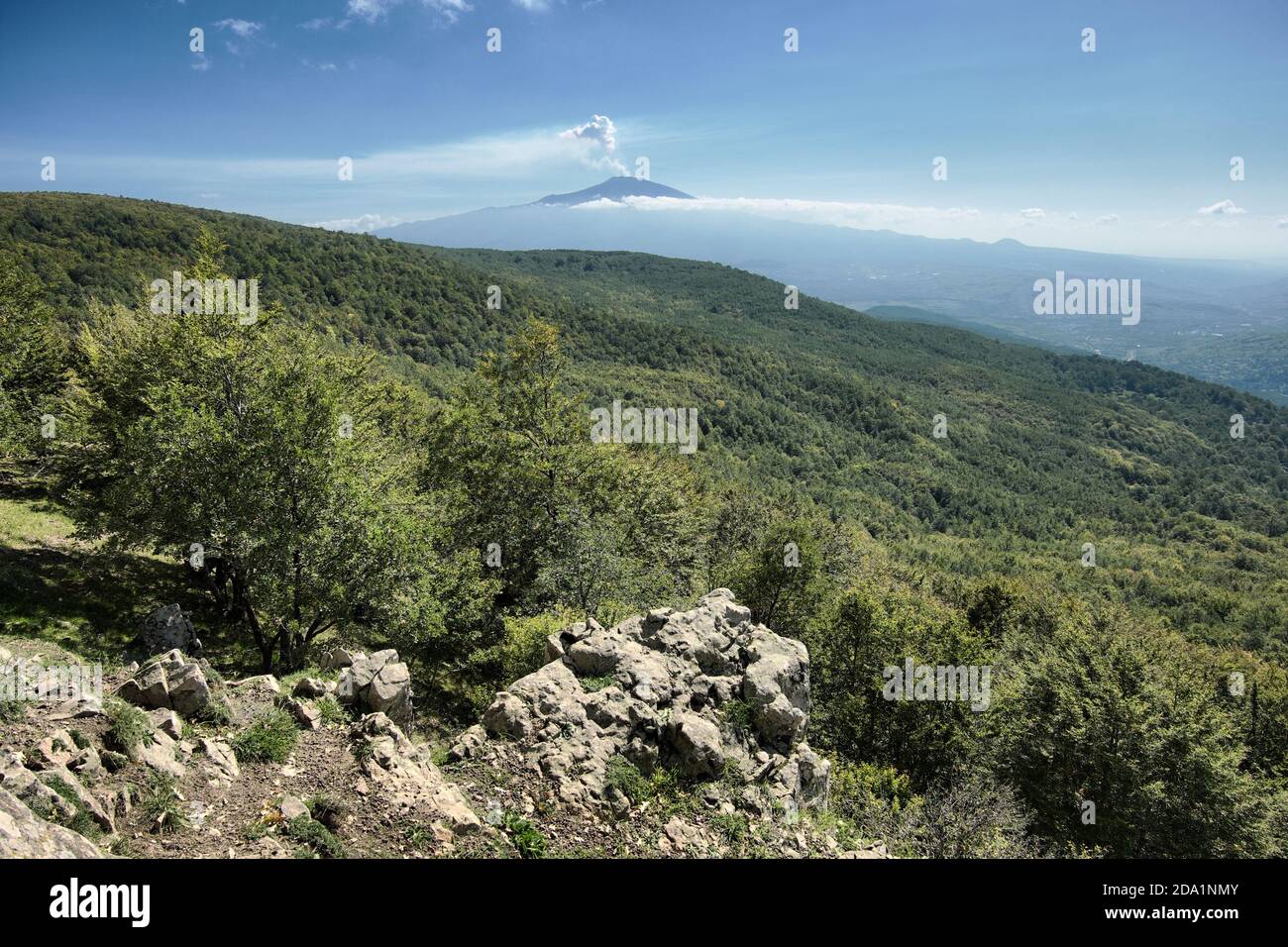 Wald des Nebrodi-Nationalparks und Vulkanausbruch vom Ätna, Sizilien, Italien Stockfoto