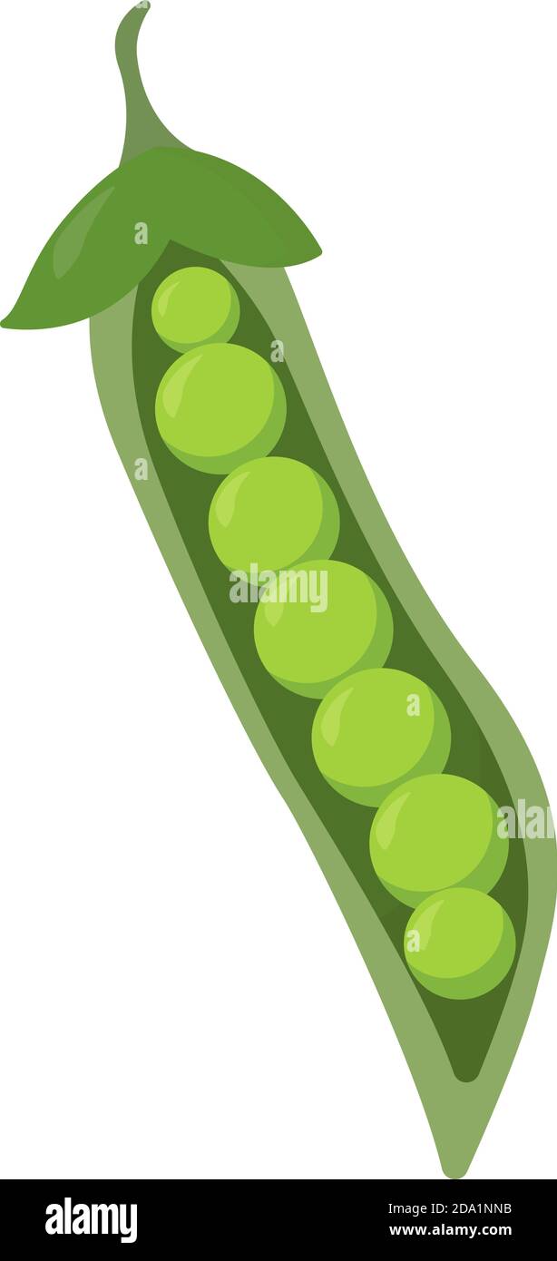 Frische Erbsen , Illustration, Vektor auf weißem Hintergrund Stock Vektor