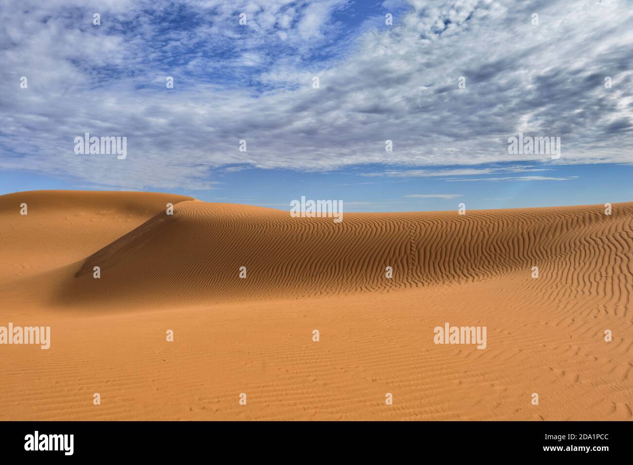 Abstrakter Blick auf die Sandkräuseln auf der berühmten Big Red Sand Dune, einer beliebten Touristenattraktion in der Nähe von Birdsville, Queensland, QLD, Australien Stockfoto