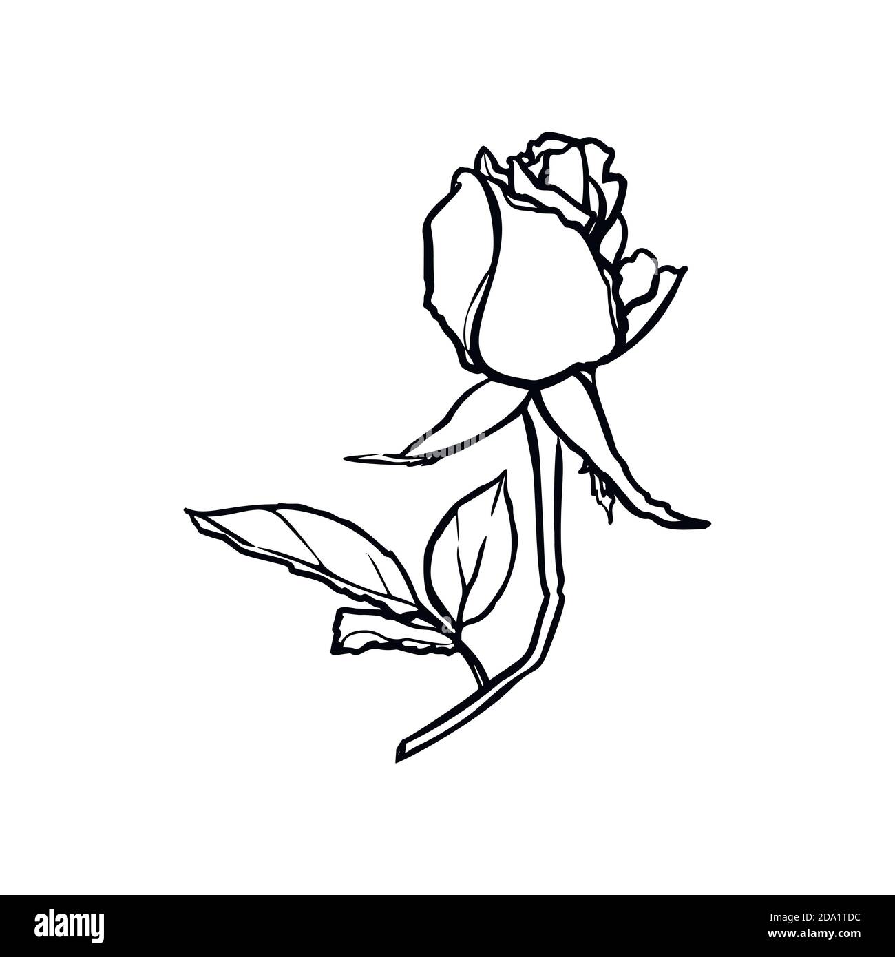 Rosebud Linienzeichnung. Vektor Umriss Blume in einem trendigen minimalistischen Stil. Stock Vektor