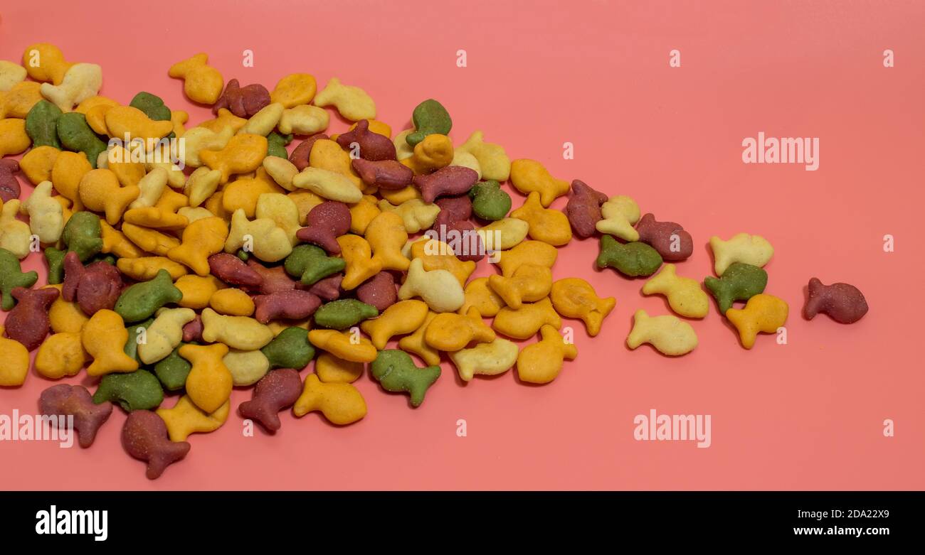 Bunte Regenbogen Goldfisch Cracker auf einem rosa Hintergrund Stockfoto