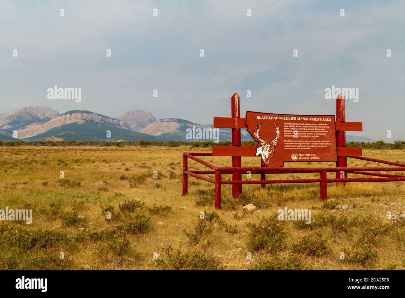 Blackleaf Wildlife Management Area Schild, Rocky Mountain Front, Montana, USA. Stockfoto
