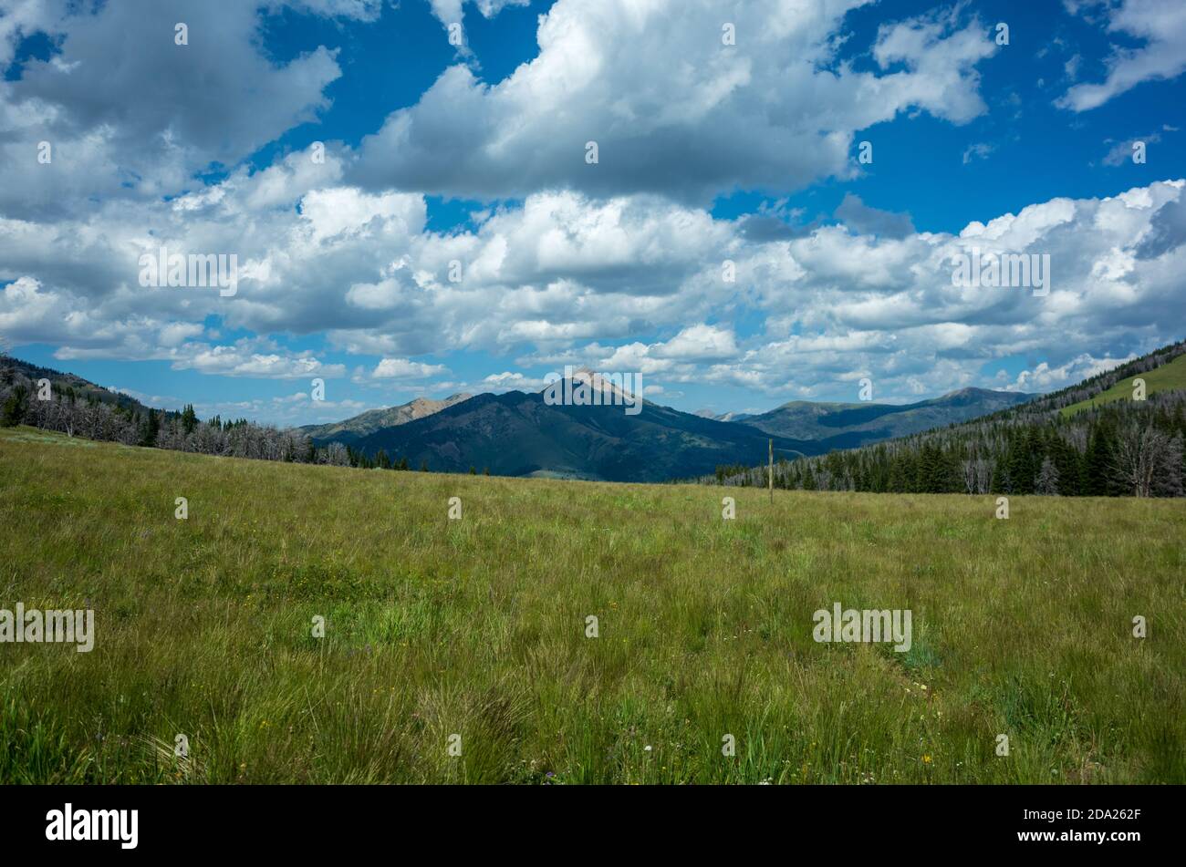 Eine Berglandschaft im Sommer, Southwest Montana, USA. Stockfoto