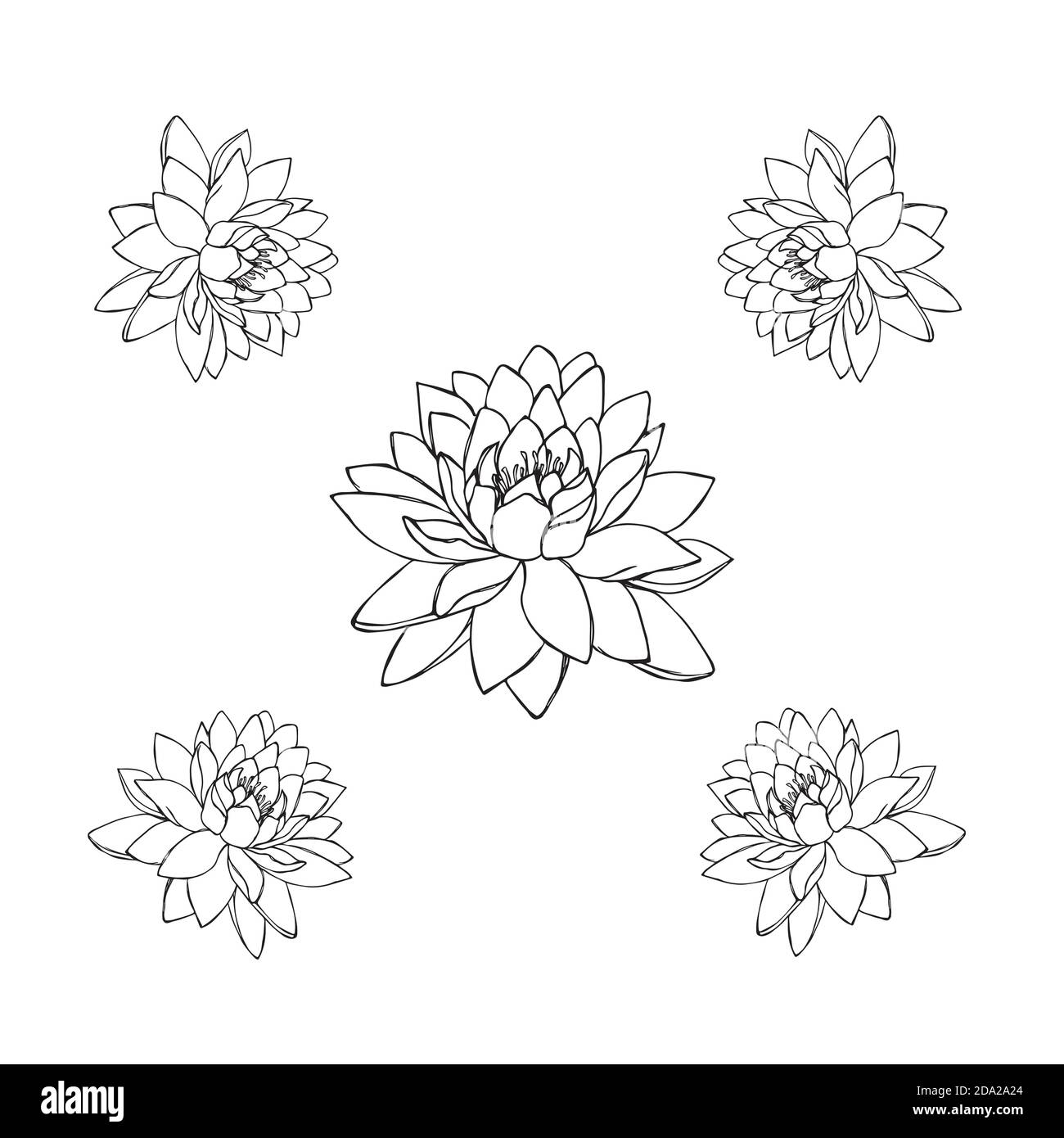 Silhouetten von Lotusblumen. Set von fünf Vektor-Illustrationen. tattoo Illustration Stock Vektor