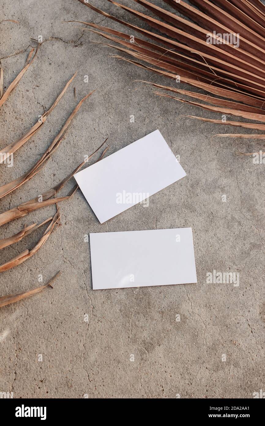 Leere weiße Visitenkarten Mockups und trockene braune Palmblätter auf texturiertem Tischhintergund. Elegante moderne Vorlage für Branding-Identität. Tropisch Stockfoto