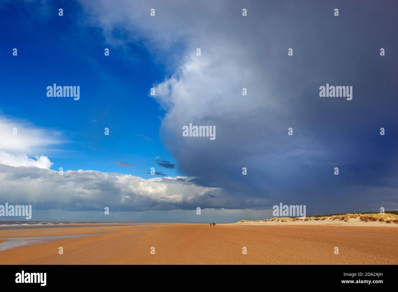 Holkham Bay National Nature Reserve Norfolk UK im April Stürme Stockfoto