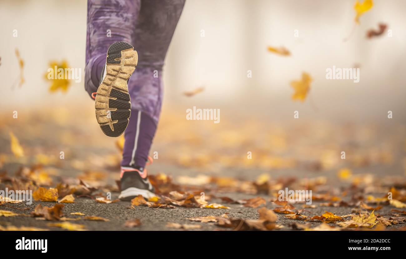Nahaufnahme der weiblichen Beine und Schuhe, die in der herbstlichen Natur laufen. Stockfoto