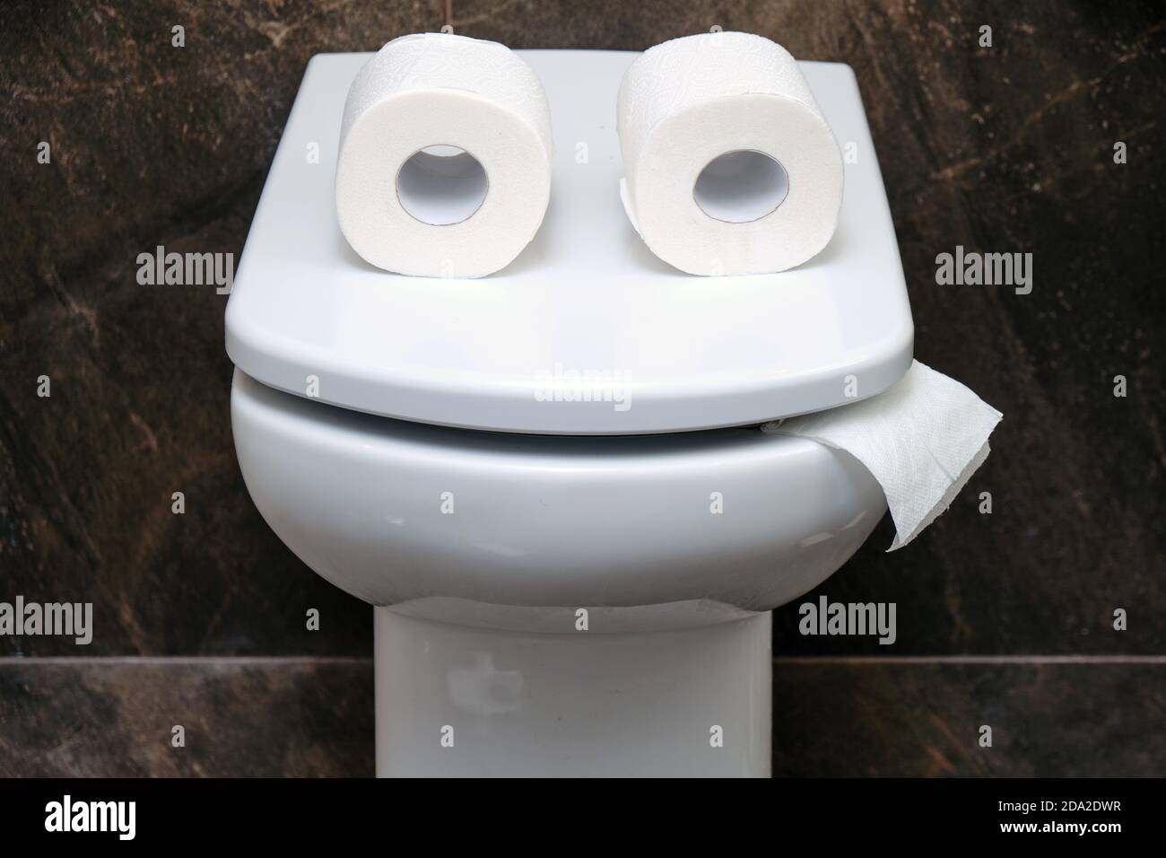 Toilettenschüssel mit zwei Rollen Papier ähnlich wie Augen oder Gläser. Komisches Konzept, dass das Toilettenpapier ausläuft Stockfoto