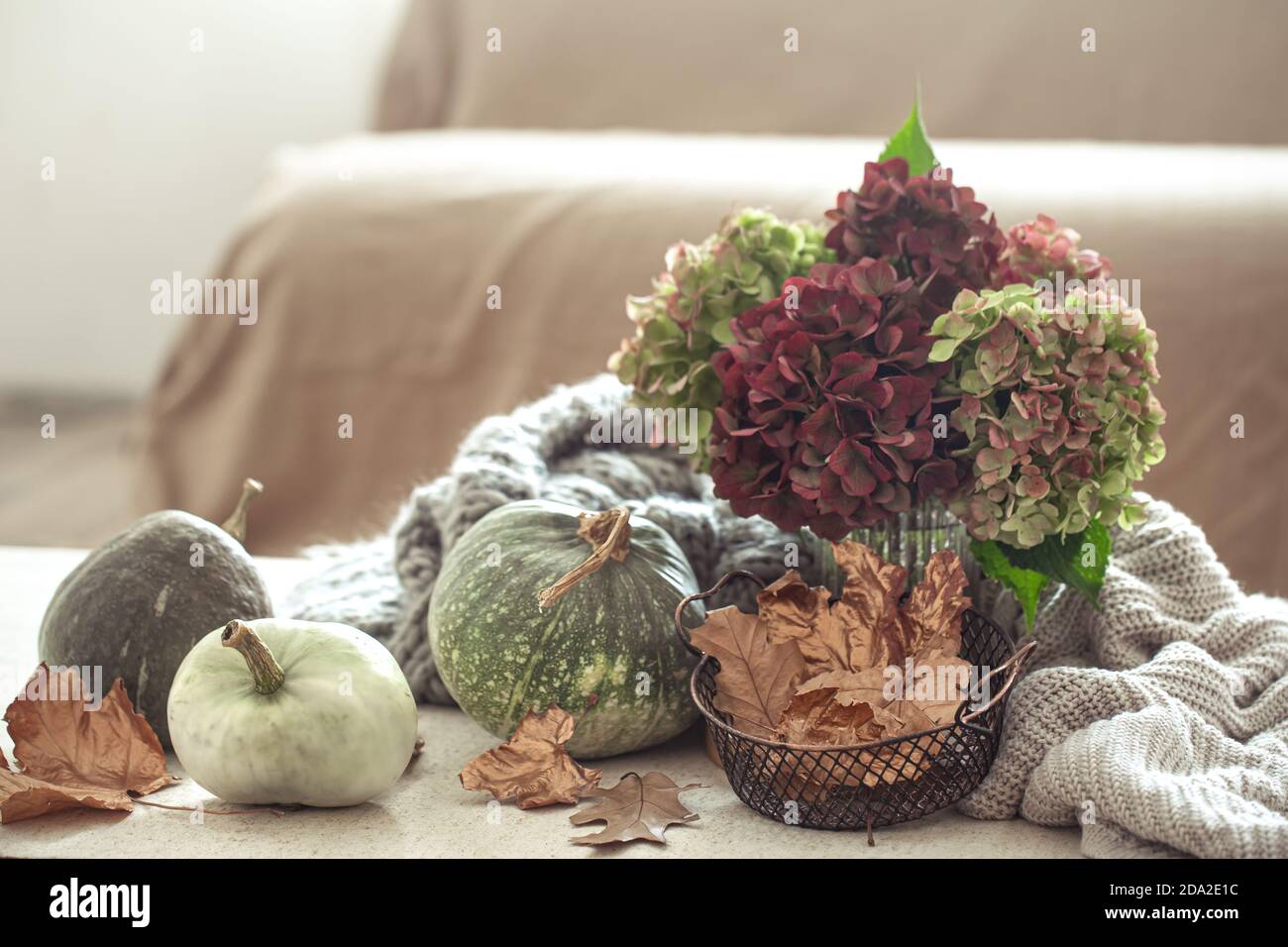 Herbstkomposition aus Kürbissen, trockenen Blättern, Hortensienblüten und warmen Pullovern auf einem hellen unscharfen Hintergrund des Raumes in kalten Farben. Wohnkultur c Stockfoto