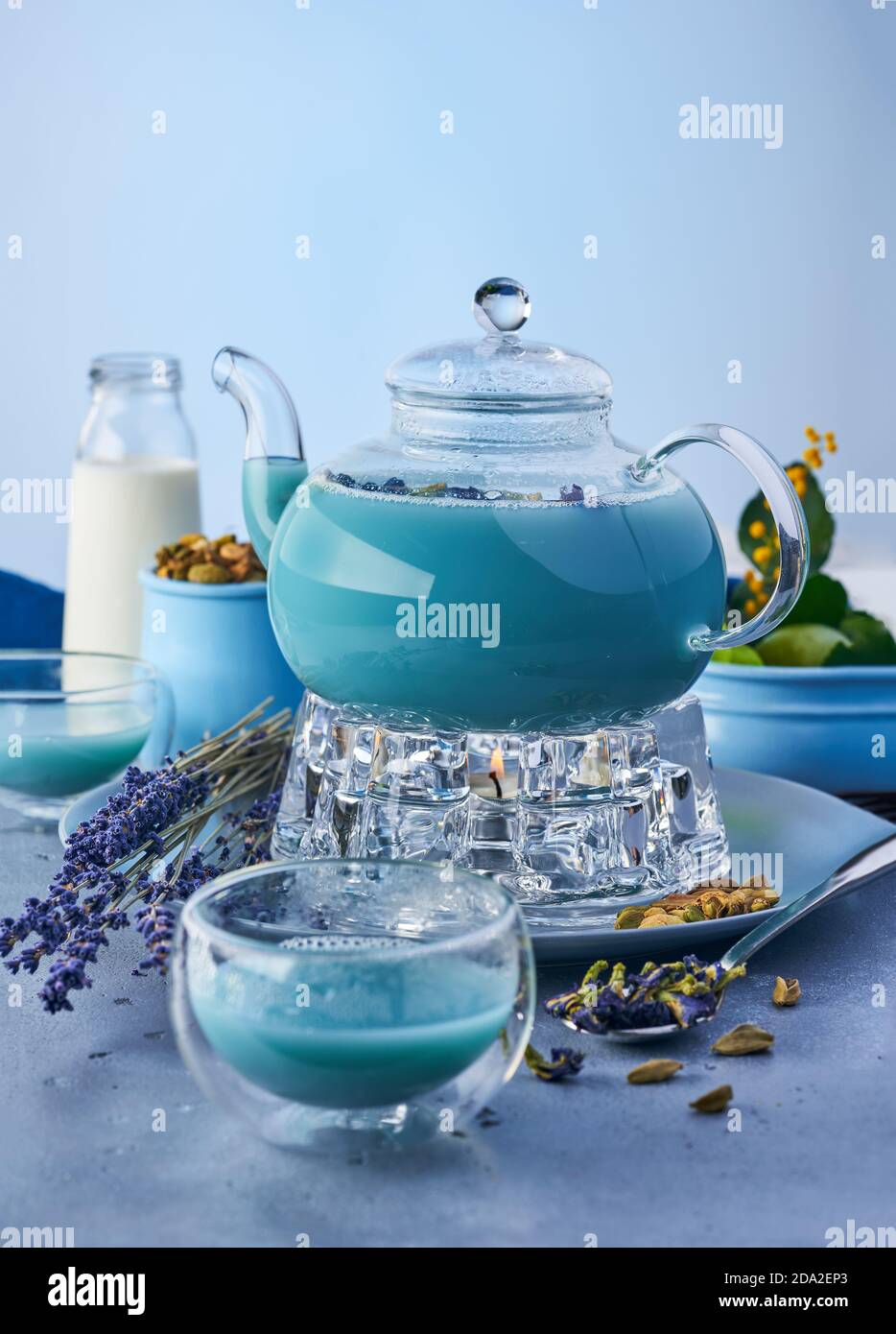 Thai blauer Anchan Tee mit Milch auf blauem Hintergrund Stockfoto