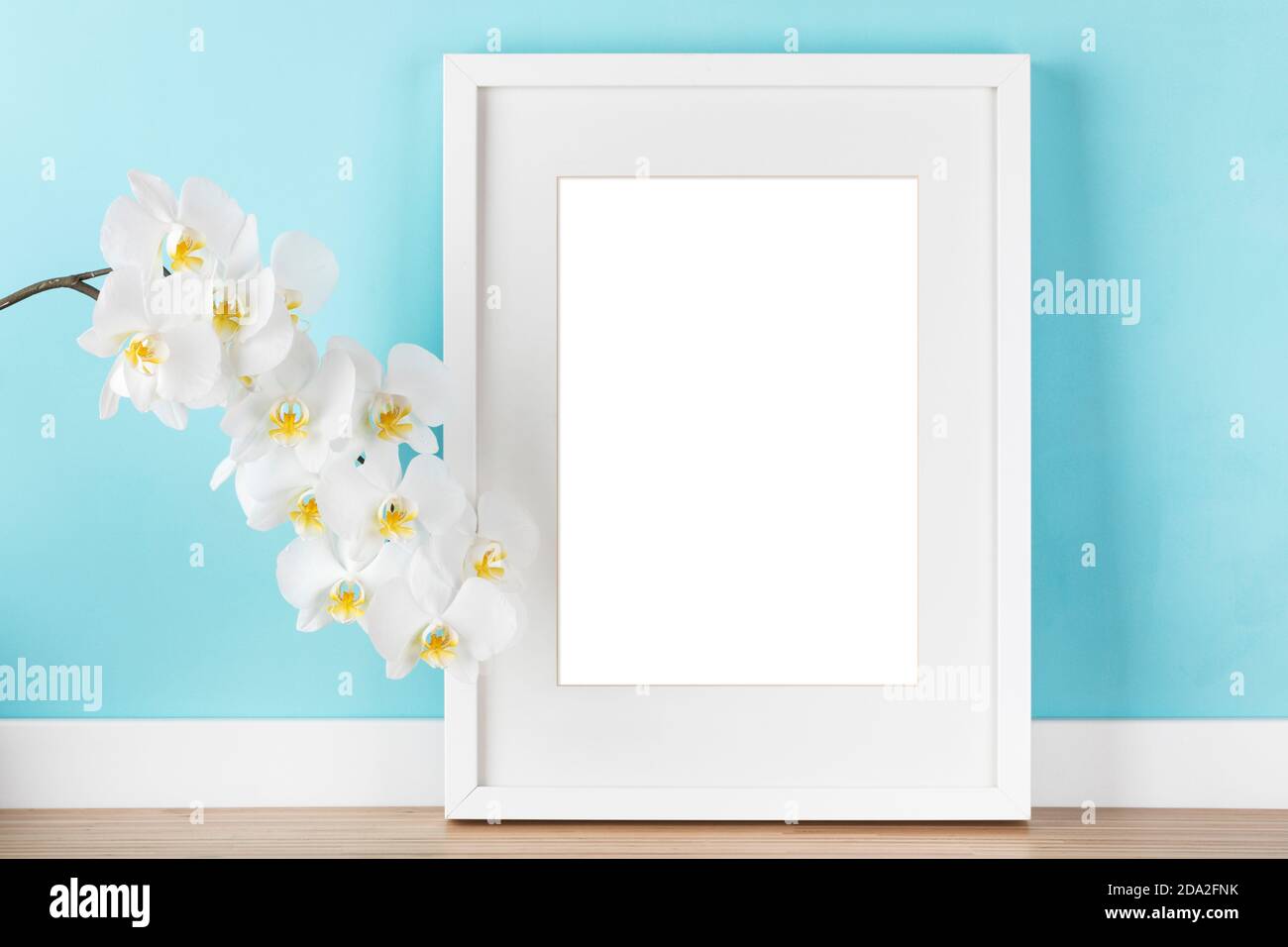 Elegante Mockup-Schablone mit weißem vertikalen Bilderrahmen mit mattem, blühendem Orchideenzweig vor pastellblauer Wand. Leere ima Stockfoto