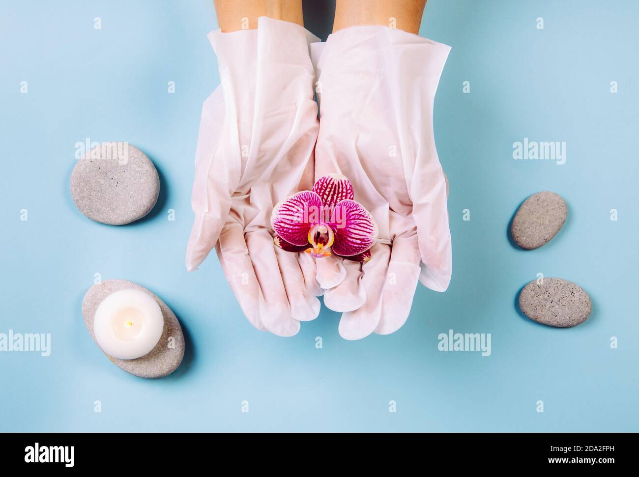 Nahaufnahme der Frau tragen zu Hause verwenden feuchtigkeitsspendende Handschuhe Maske Hexe können Ihre Hände weich und hydratisiert zu halten. Weiße Hände halten zarte Orchidee. Stockfoto