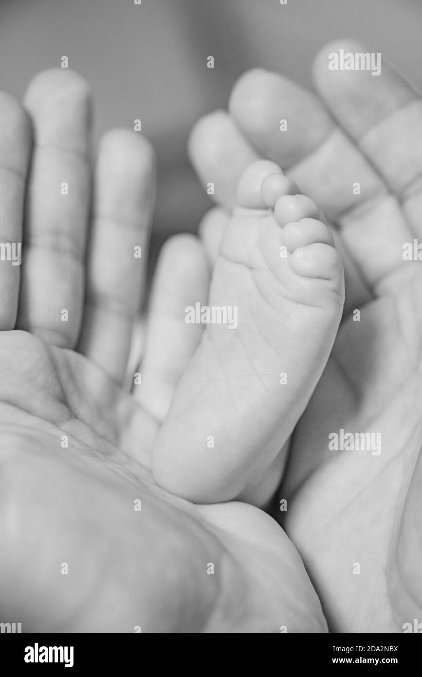Detail einer neugeborenen Zehe zwischen den Händen ihrer Mutter Schwarz und Weiß Stockfoto