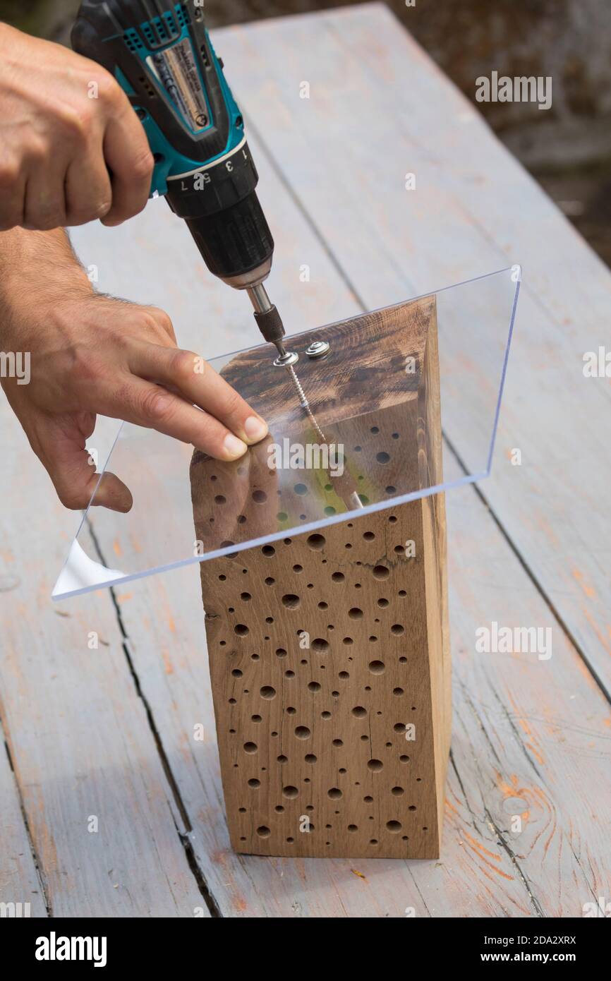 Wildbienennisthilfe aus hartem Holz, zum Regenschutz wird eine Plexiglasscheibe auf die abgeschrägte Seite geschraubt, Deutschland Stockfoto