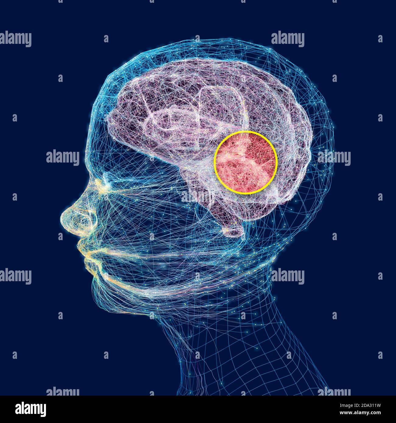Neurologie, Philosophie: Verbindungen, die Entwicklung des Denkens und der Reflexion, die unendlichen Möglichkeiten von Gehirn und Geist. Menschliche Anatomie Stockfoto