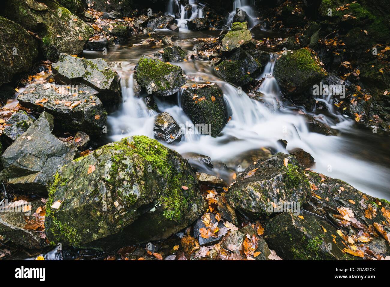 Waldwasserfall im Herbst bei Tarn Hows, Lake District, Cumbria Stockfoto