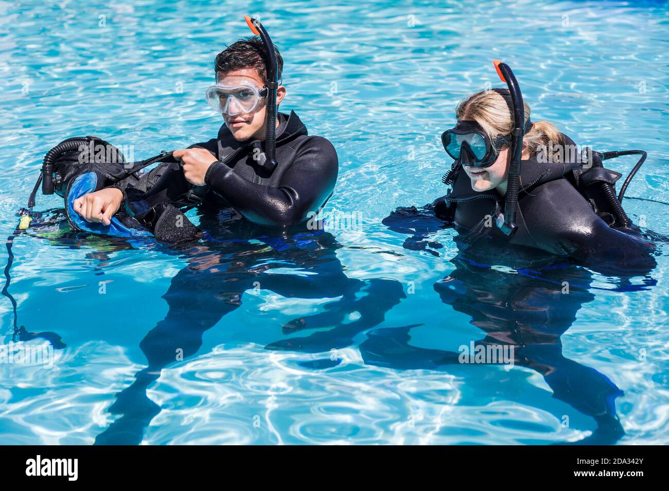 Tauchtraining in einem Pool Schüler entfernen ihre BCDs an der Oberfläche. Stockfoto