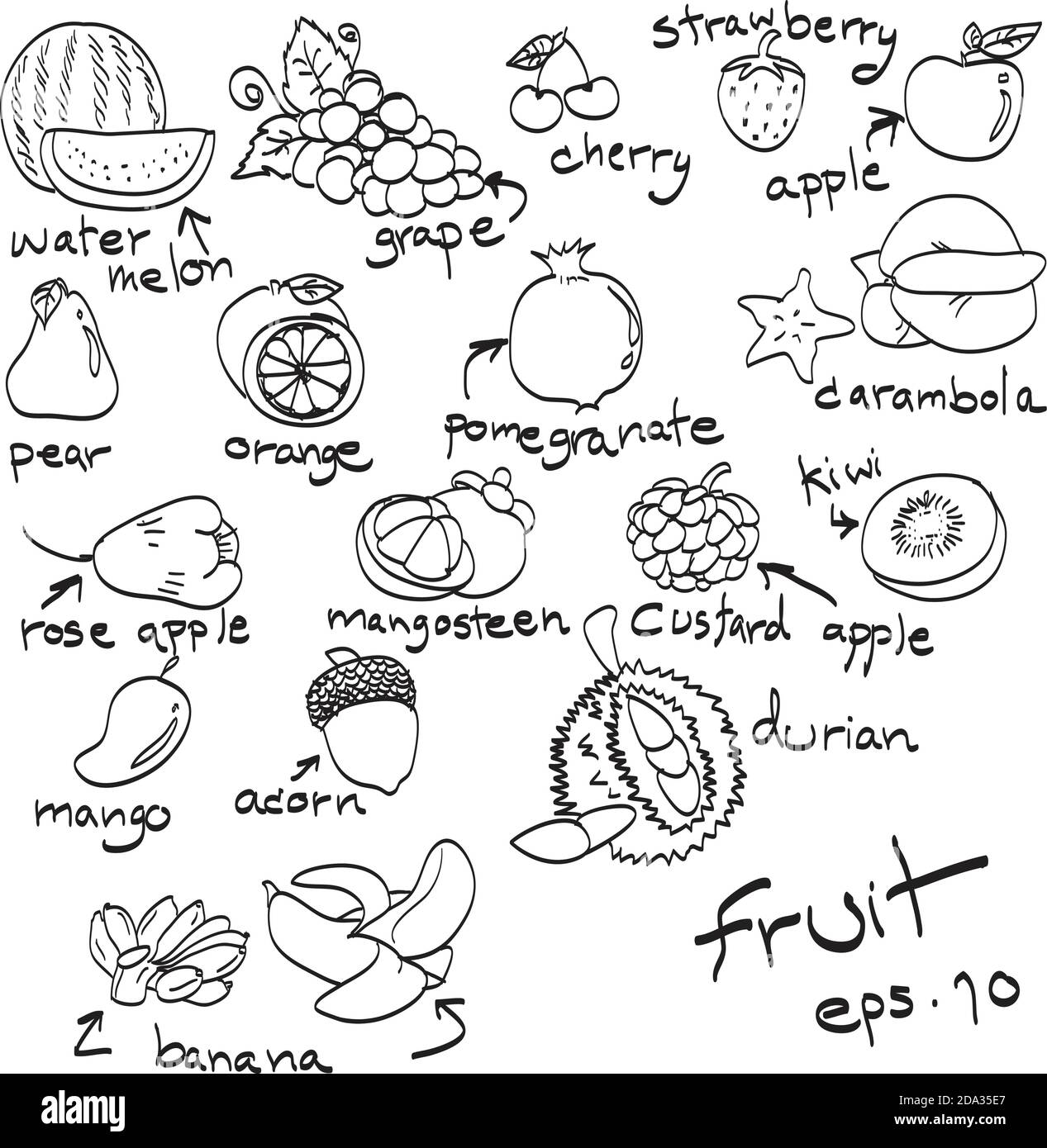 Handgezeichneter Satz Früchte, Kritzeleien Stock Vektor
