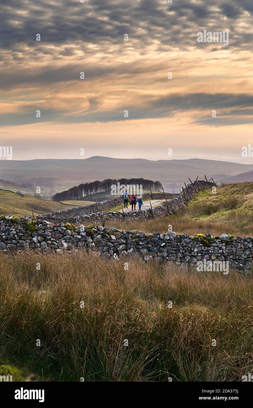 Spaziergänger wandern auf dem Pennine Way an einem Herbsttag in der Nähe von Horton-in-Ribblesdale, Yorkshire Dales National Park, Großbritannien Stockfoto