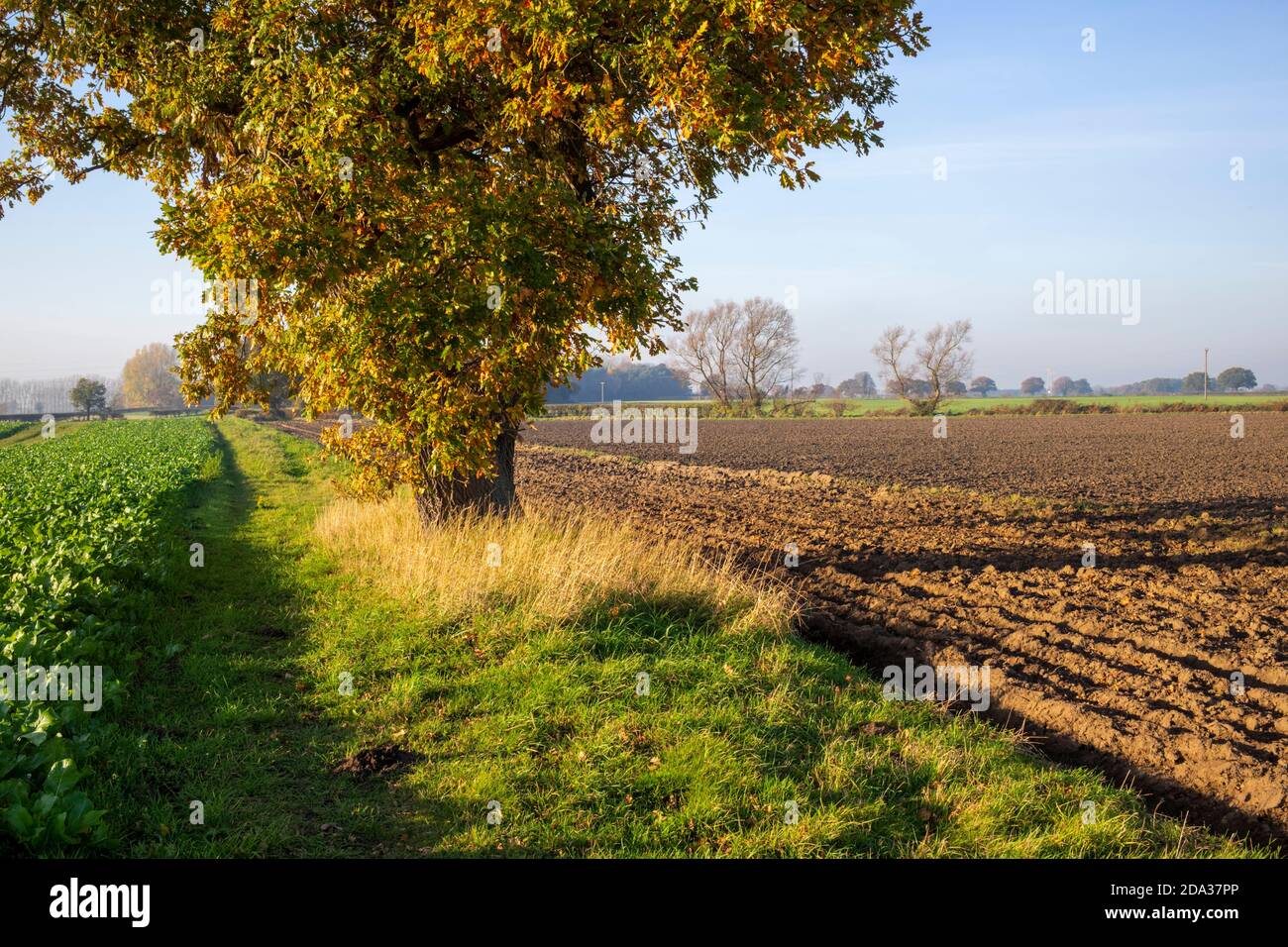 Veränderung in der Landschaft, Vale of York, North Yorkshire, Großbritannien. Stockfoto