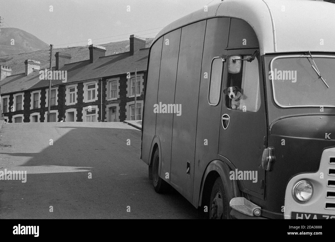 Der Hund, der aus dem Fenster eines mobilen Shops blickte, hielt in Stanleytown, Rhondda Fach, South Wales, 1973 Stockfoto