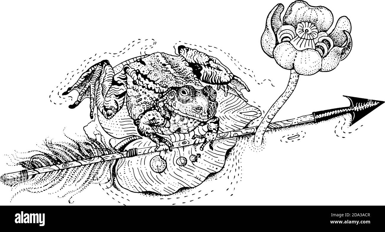 Die Froschprinzessin. Amphibium sitzt auf einem Seerosenblatt und hält einen Pfeil. Russisches Märchen. T-Shirt-Print, Tattoo-Design im Dotwork-Stil. Stock Vektor