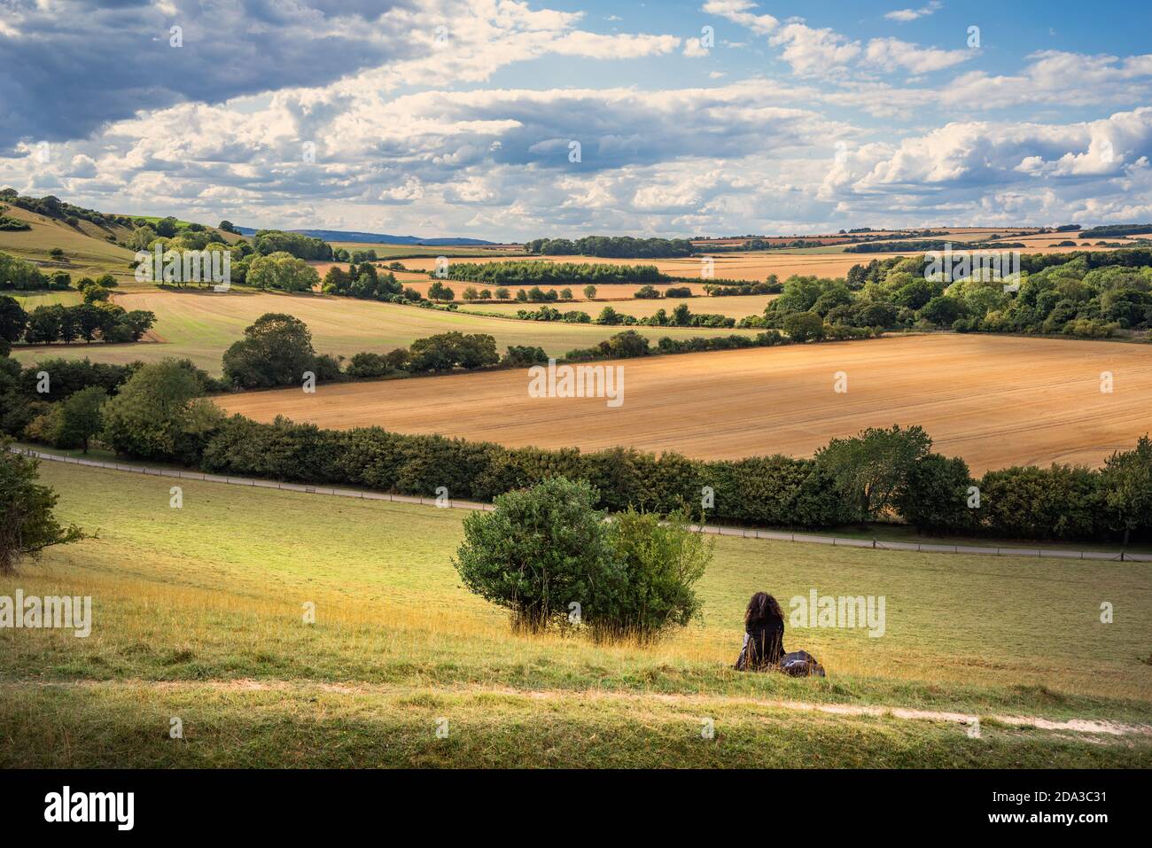 Große Felder auf den South Downs in Sussex, England, UK an einem Sommerabend während der Ernte. Stockfoto