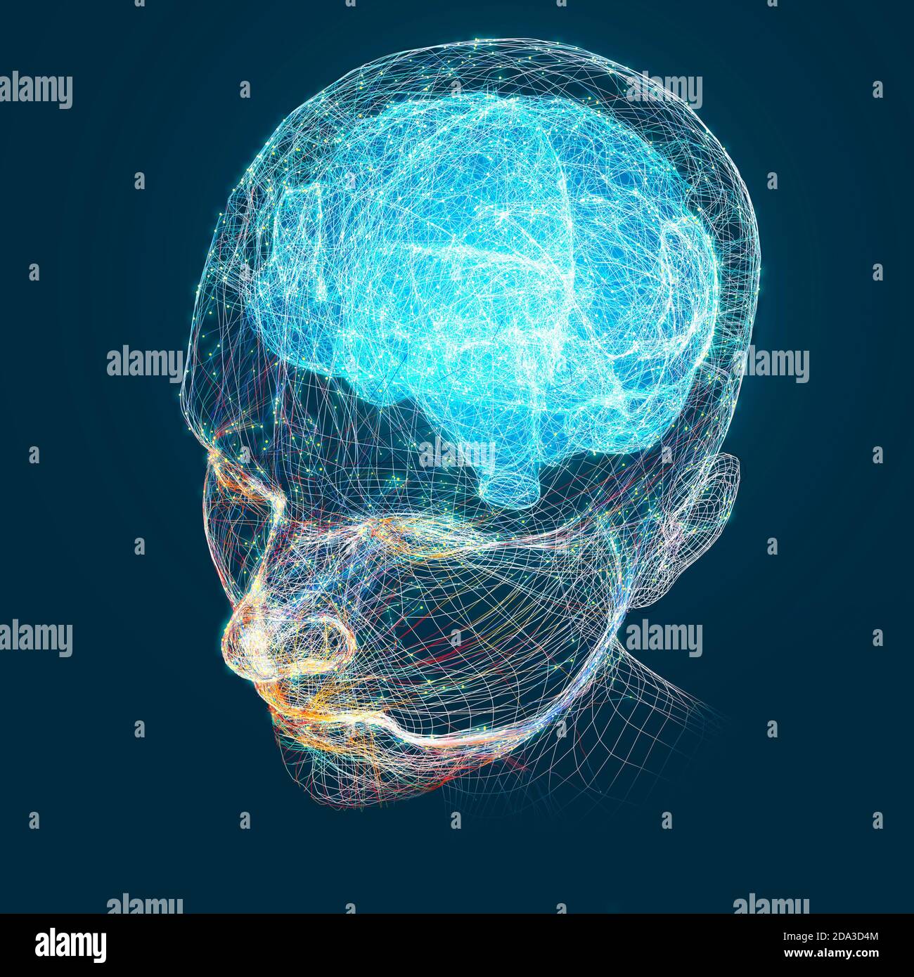 Neurologie, Philosophie: Verbindungen, die Entwicklung des Denkens und der Reflexion, die unendlichen Möglichkeiten von Gehirn und Geist. Menschliche Anatomie Stockfoto