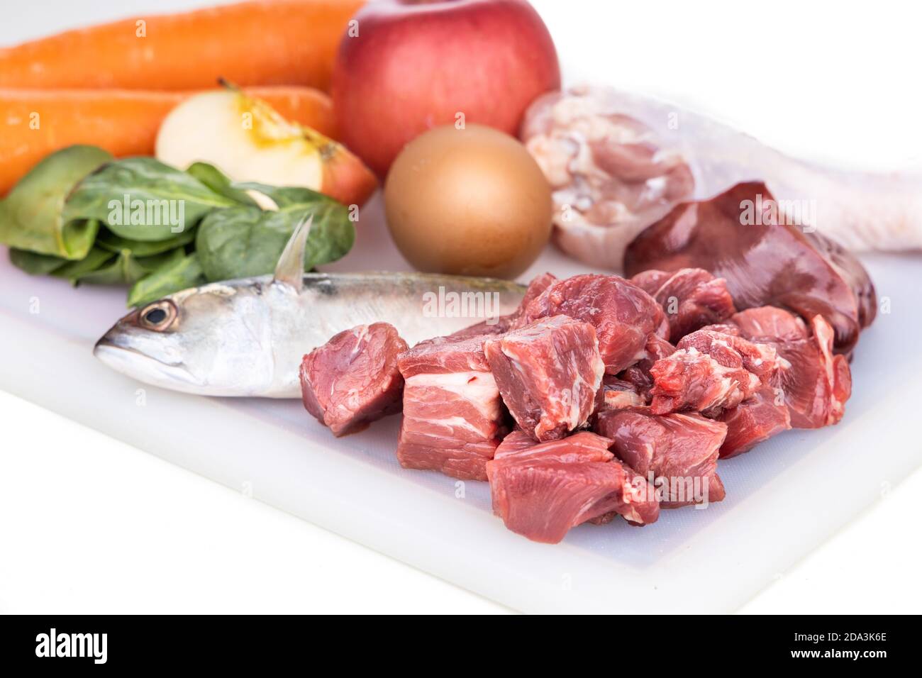 Nahaufnahme der Zutaten von Barf Rohkost Rezept für Hunde bestehend aus Fleisch, Organe, Fisch, Eier und Gemüse auf Schneidebrett Stockfoto
