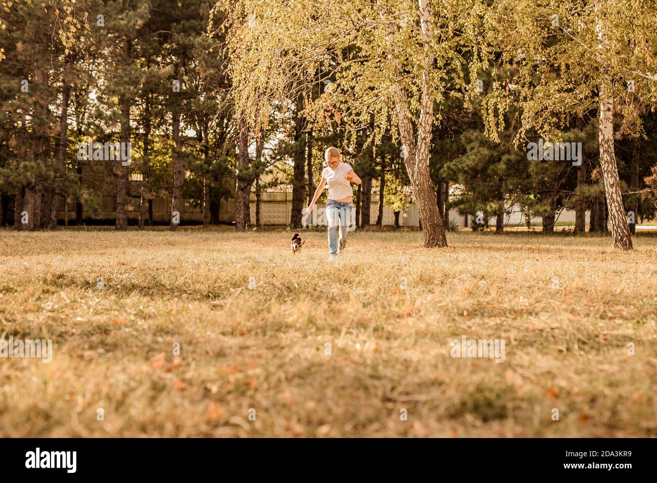 Teenager blonde Mädchen mit großen Gläsern lachen und spielen mit kleinen Welpen Spaniel im warmen Park. Stockfoto