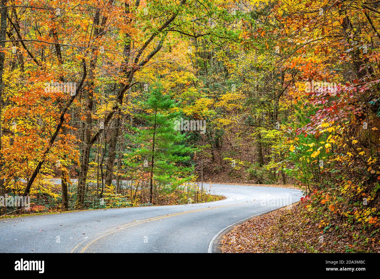 Herbstlaub in der Nähe von Helen, Georgia, USA. Stockfoto